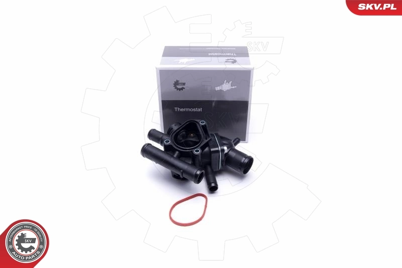 Thermostat, coolant